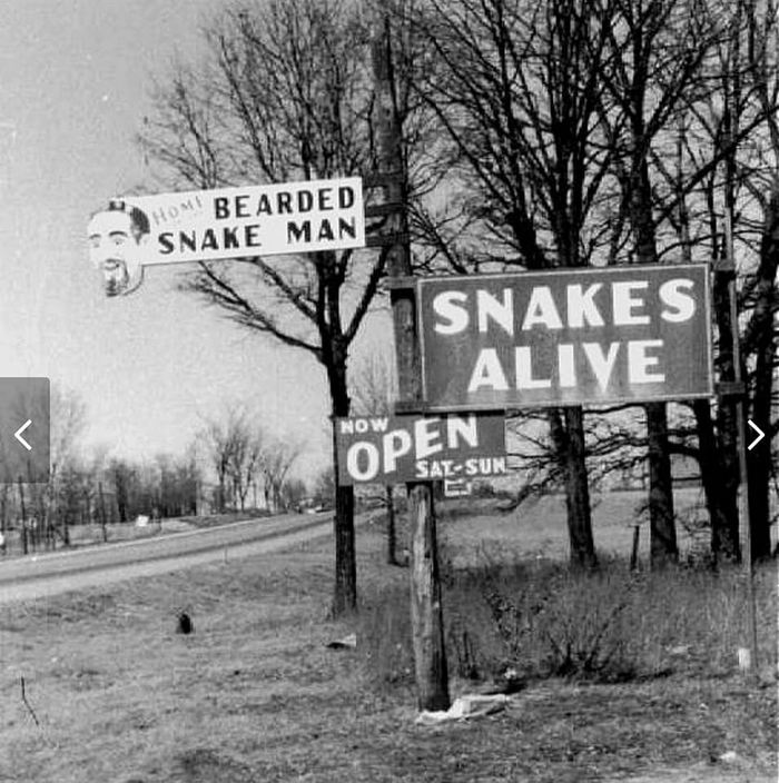 Snakes Alive - Sign On Dixie Hwy (newer photo)